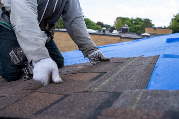 Best Roof Leak Repair  in Churchill, PA