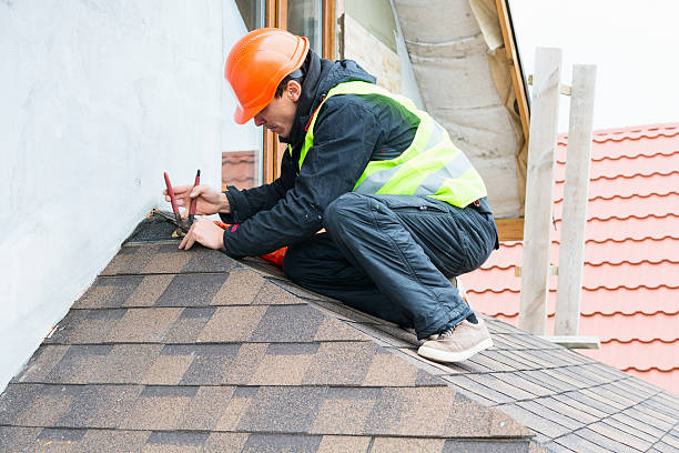 Best Roof Gutter Cleaning  in Churchill, PA