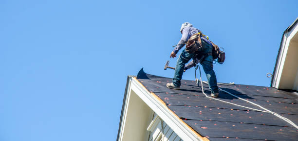 Best Local Roofing Companies  in Churchill, PA